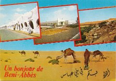 beni abbes  (11)